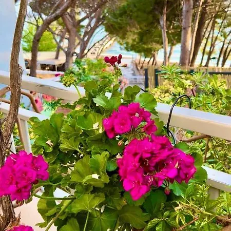 Beachfront Romilda Apartman