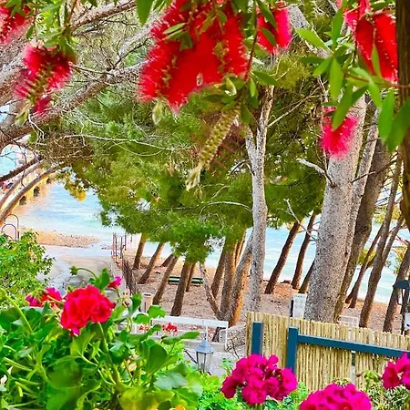 Apartman Beachfront Romilda *